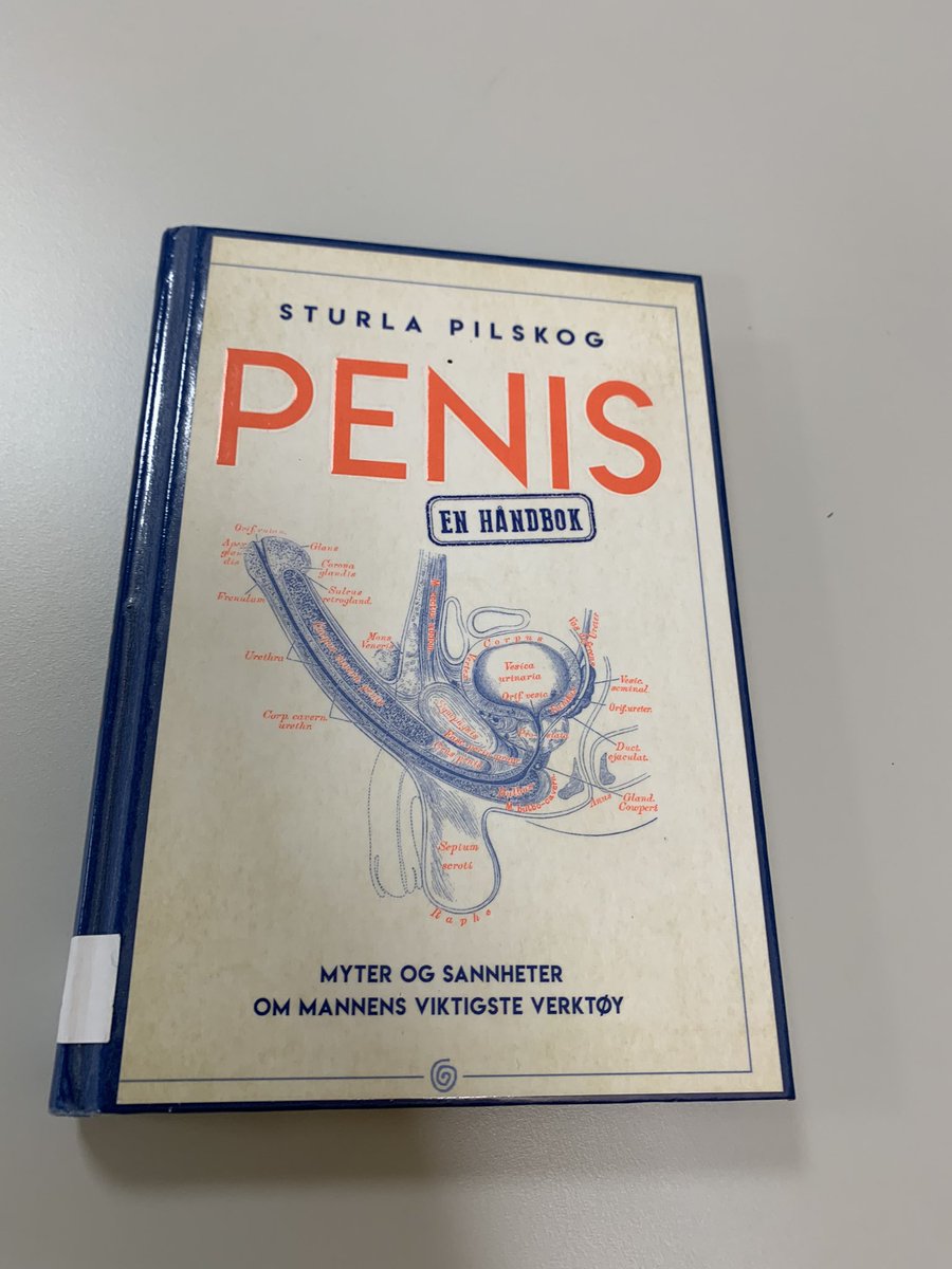 Karrilou🌻🪗 tweet media