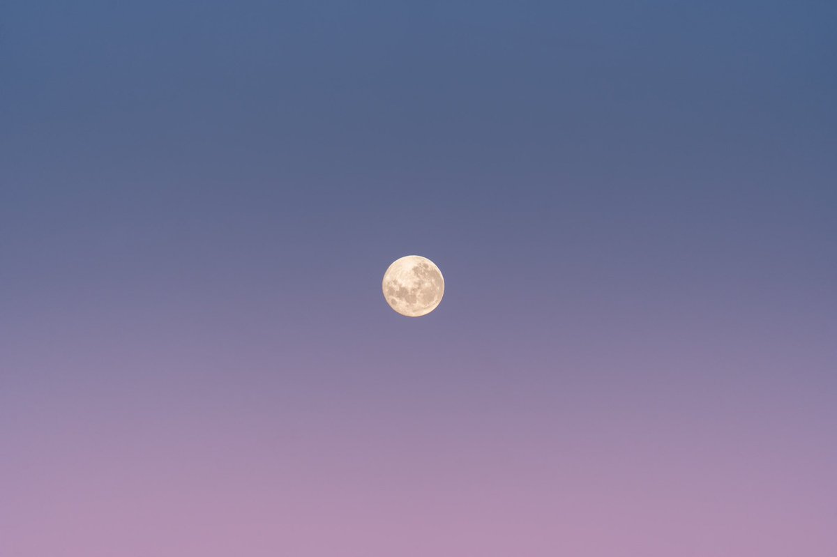 How good is this moon 10 minutes before sunrise 🌝