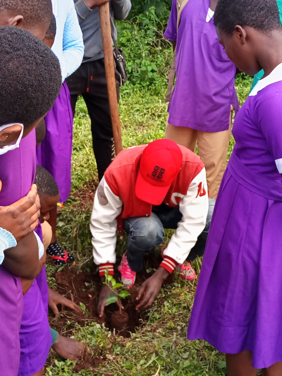 yodocameroon's tweet photo. World Peace Day at Presbyterian High School Nkambe today September 22:

Over 150 students joined us to planted fruit trees, ornamental trees and native trees to mark World Peace Week. GLFx Nkambe Chapter on the Move @GlfxNairobi @jescakiplagat85 @anitamoragia @GlobalLF https://t.co/oBQDLKEtIn