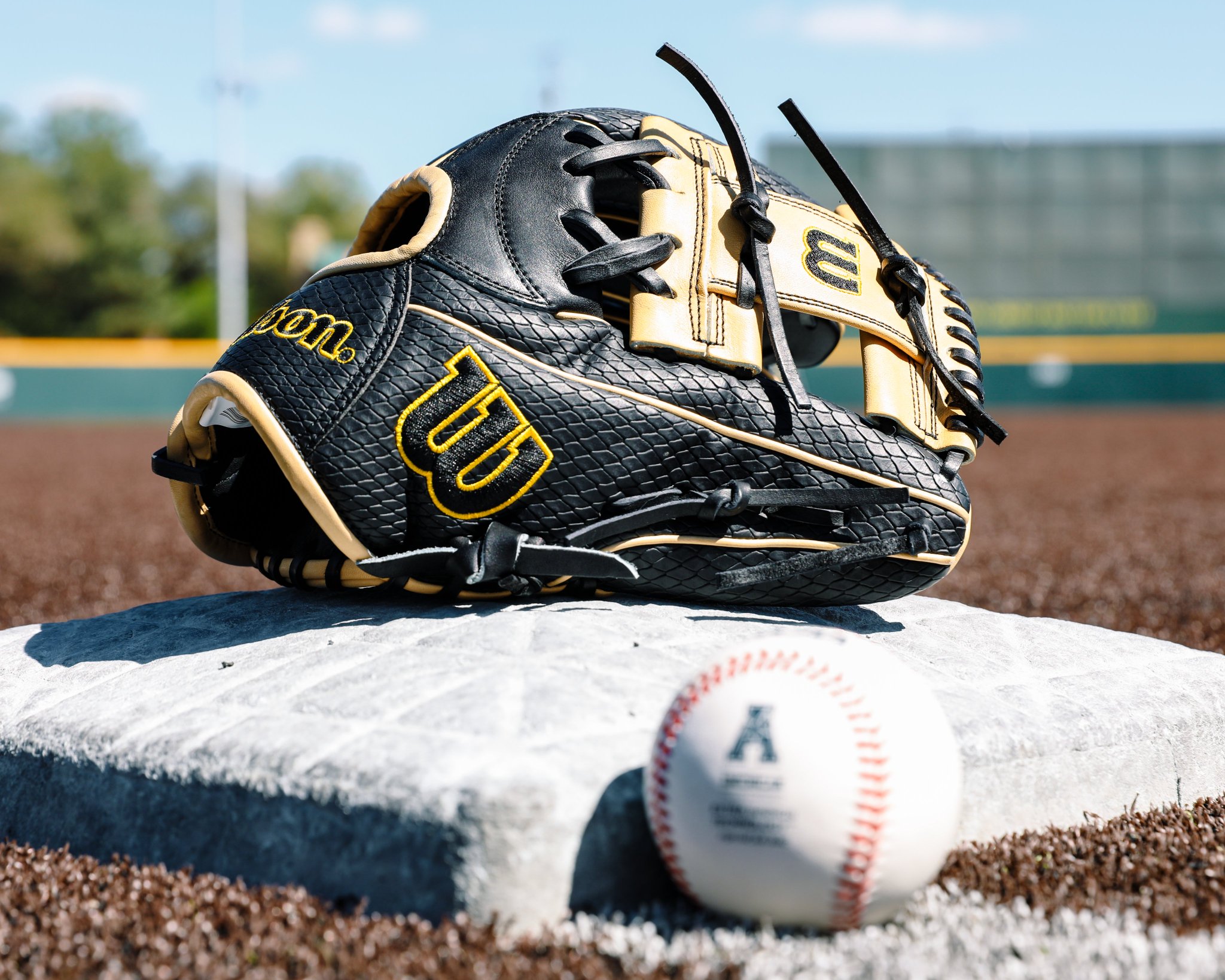 Wichita State Baseball on Twitter "There's nothing like that new glove