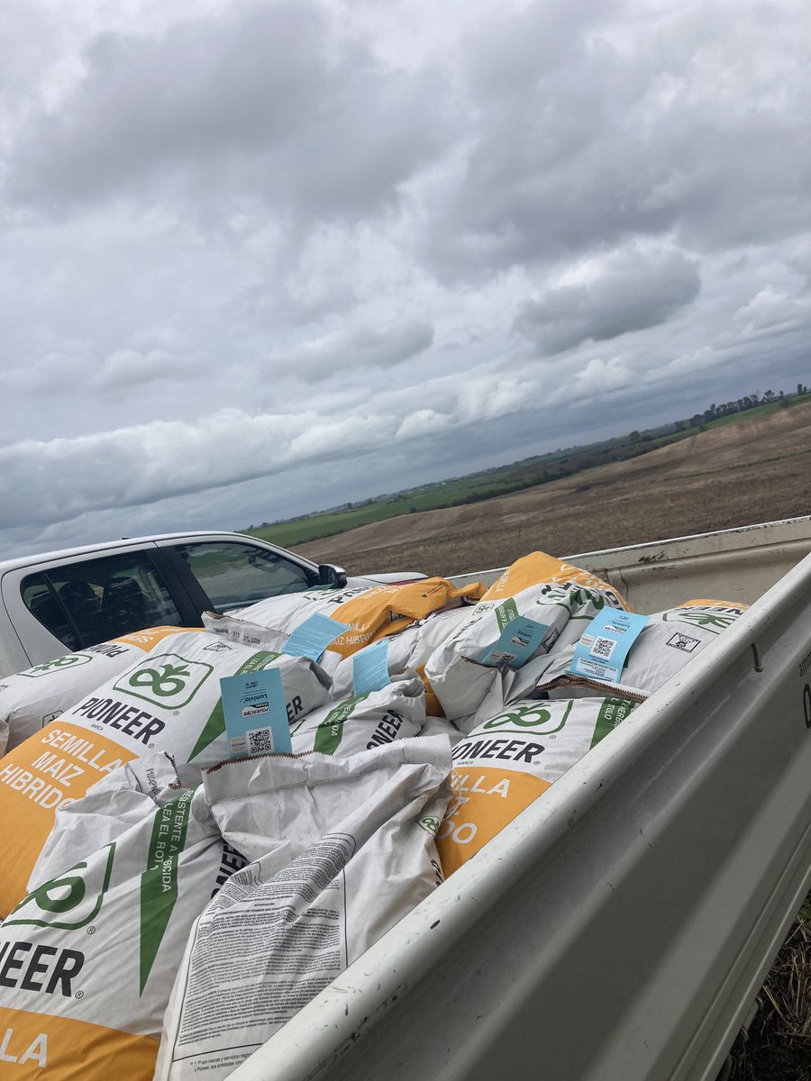 Maíz 21/22 en marcha. 🌽 P1804 

<a href="/CortevaUY/">Corteva Uruguay</a>