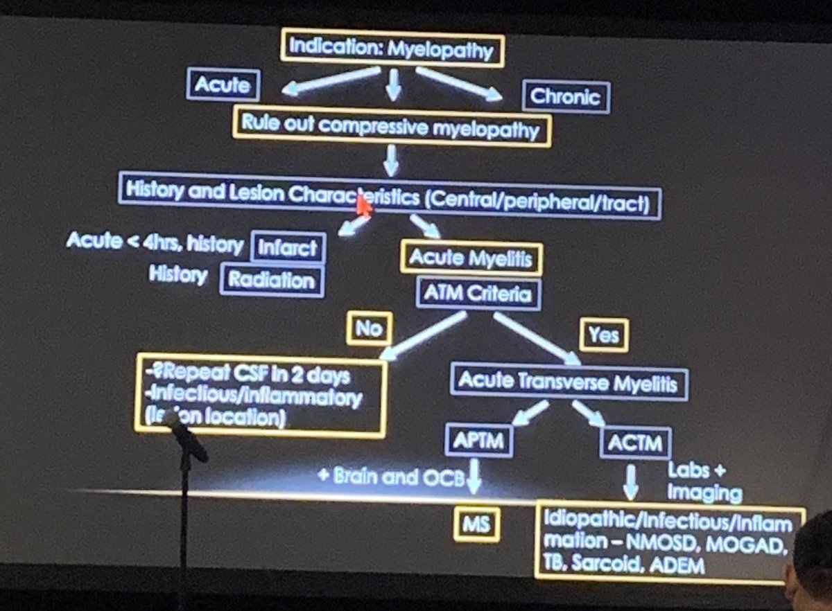 Ellen X Sun, MD tweet media