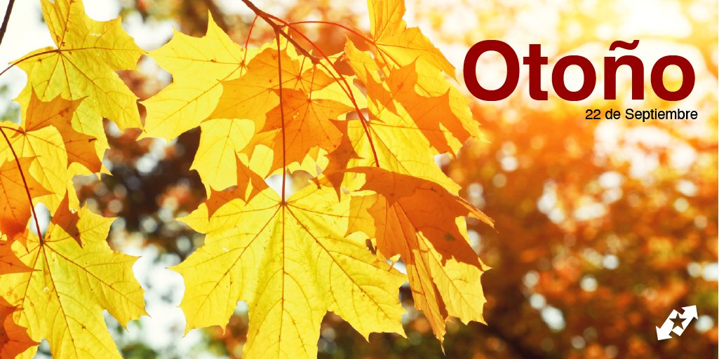 InterCambioExpr's tweet photo. ¡Llegó el Otoño y quizás la temporada favorita de muchos! Comenta con un GIF lo que más te gusta de esta estación. 🍁
.
#switch2orange #moneytransfer #remesas #remesasfamiliares #otoño #autumn https://t.co/7pG3uFJNV7