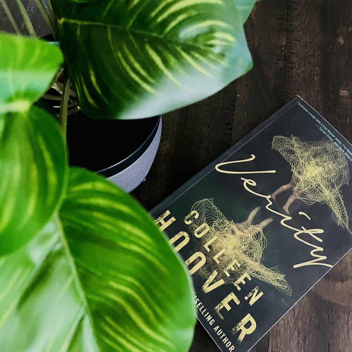 silverrosemag's tweet photo. What spooky romances are you reading this October??👻👀 https://t.co/V9dT4DRb3i