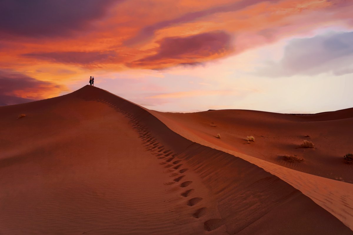 Check out ChromaticCrypto on <a href="/magiceden/">Magic Eden 🪄</a>, a 1/1 photography collection limited to 120 NFTs. We just snagged a couple for 1 SOL. #solana #solananft
magiceden.io/marketplace?co…