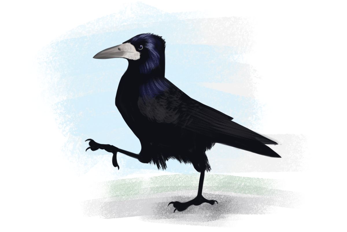 Datvi_the_Bear's tweet photo. why, hello #flockofartists, i've got a couple of birbs too https://t.co/q336O4cm77