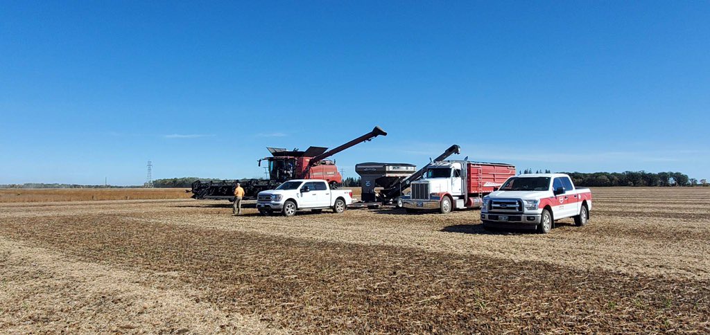 HomesteadCoopAg's tweet photo. Our soybean trial came off today. The strongest varieties are @DEKALB_Canada 005-52, @NSGeneticsCA Holland, @syngentacanada S005-CX9 at 39.6bu, 38.9bu, 38.8bu consecutively. Big thanks to @brad_crammond and Tammy at BT Crammond farms for their cooperation! https://t.co/APYf699y4i