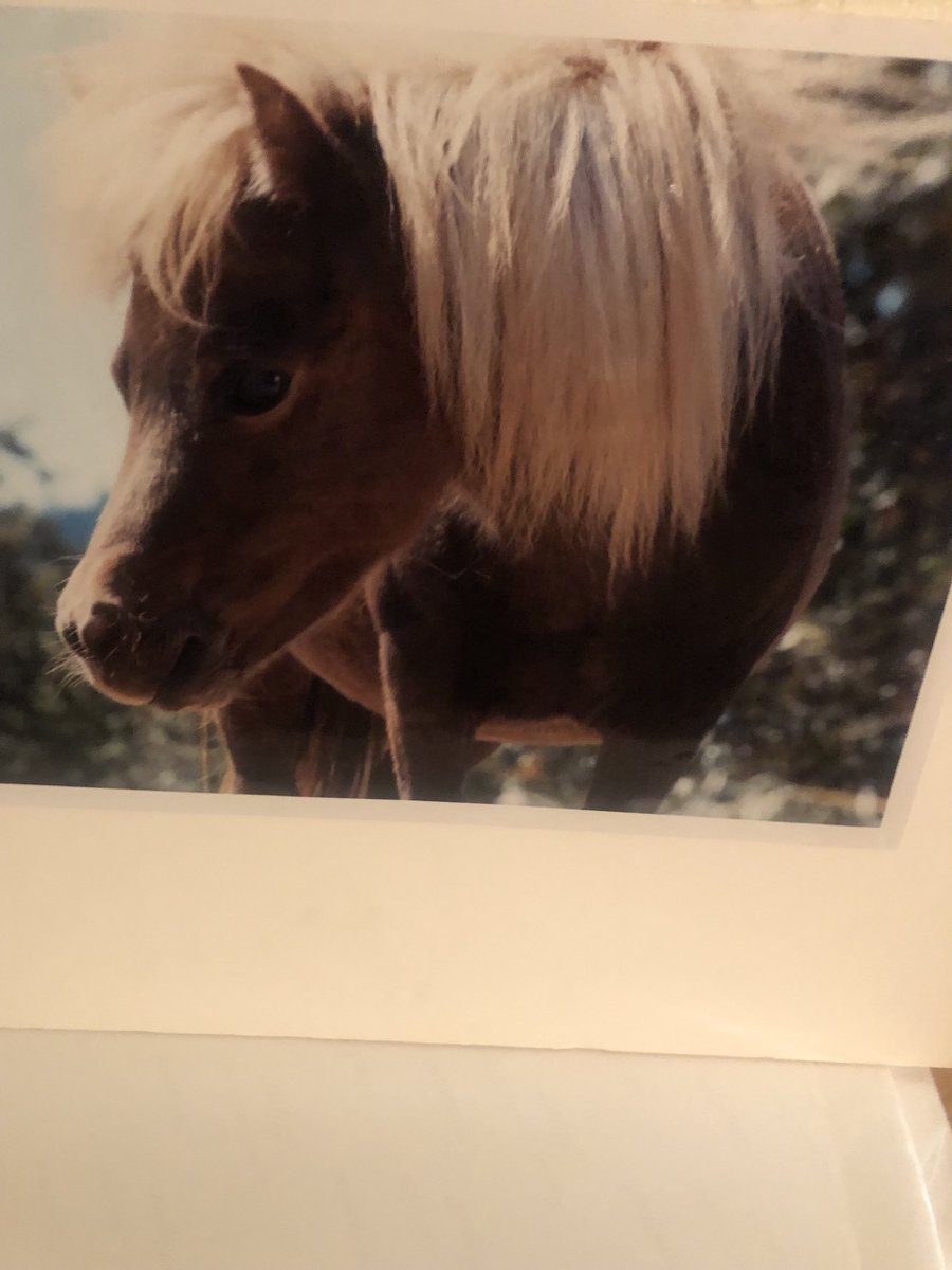 ⁦<a href="/sherrig108/">Sherri</a>⁩       SHERRI: I got more