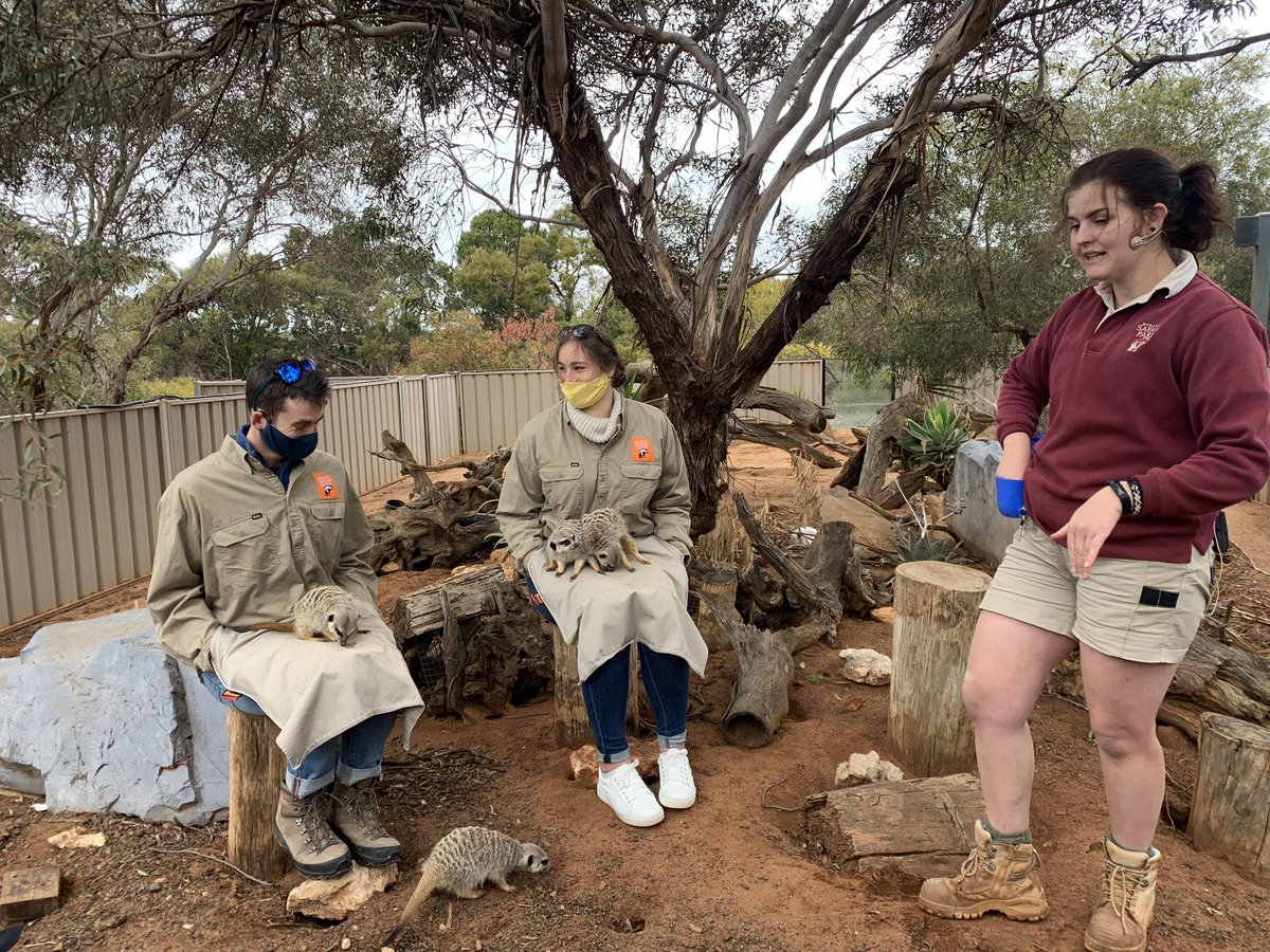 Last week of term, last week of Base 3 Quest! Monarto Zoo topped off the experience and gave students new ideas, enabling them to tweak their Minecraft Zoo enclosures ready for our celebration of learning! <a href="/SophgsWaller/">Sophie Waller</a> #experientiallearning #Year3 #sharingtheplanet #pyp