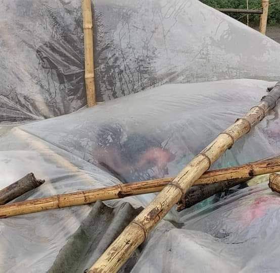 আল্লাহ তুমি আমাৰ ছিপাঝাৰ সমষ্টিৰ ধলপুৰ গাওঁৰ মানুহ খিনিক ৰক্ষা কৰা ।