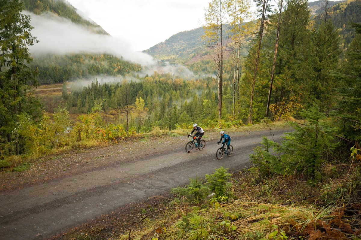 TRGravelRoyale's tweet photo. 🍂 Who is ready for Fall gravel riding?
#TRGR22 #AllIn #gravelbiking #fall #fallbiking #BC https://t.co/wYVrK8CJgS