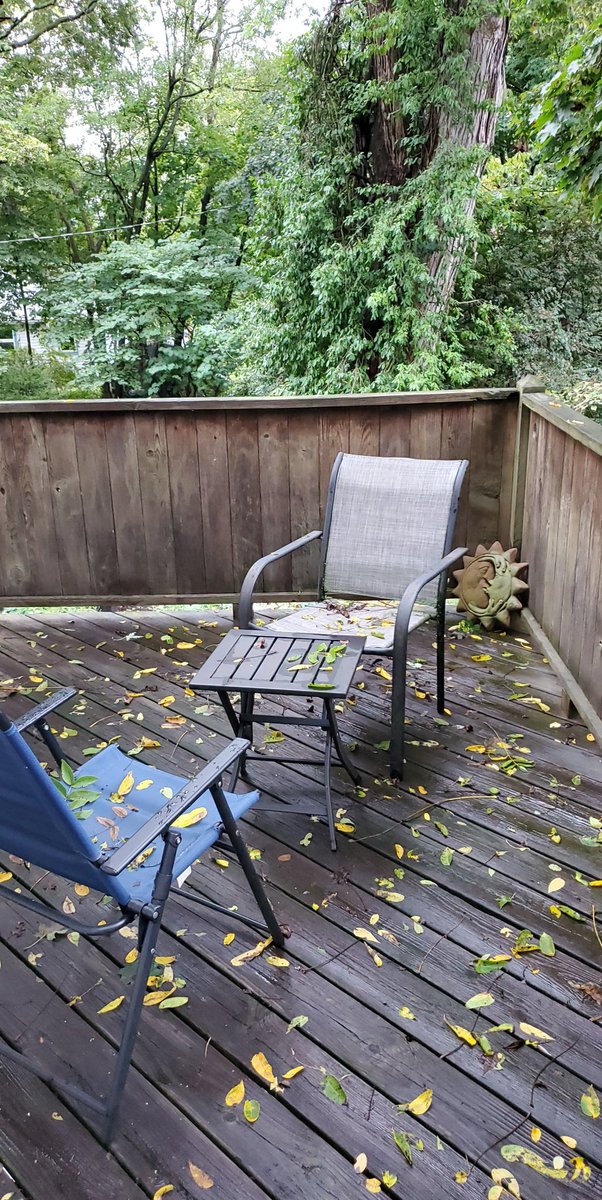 modernancientAB's tweet photo. #AutumnalEquinox #autumn2021 πππ#OhioLife #deckview #YellowSprings πππ https://t.co/ub3D6MyMQK