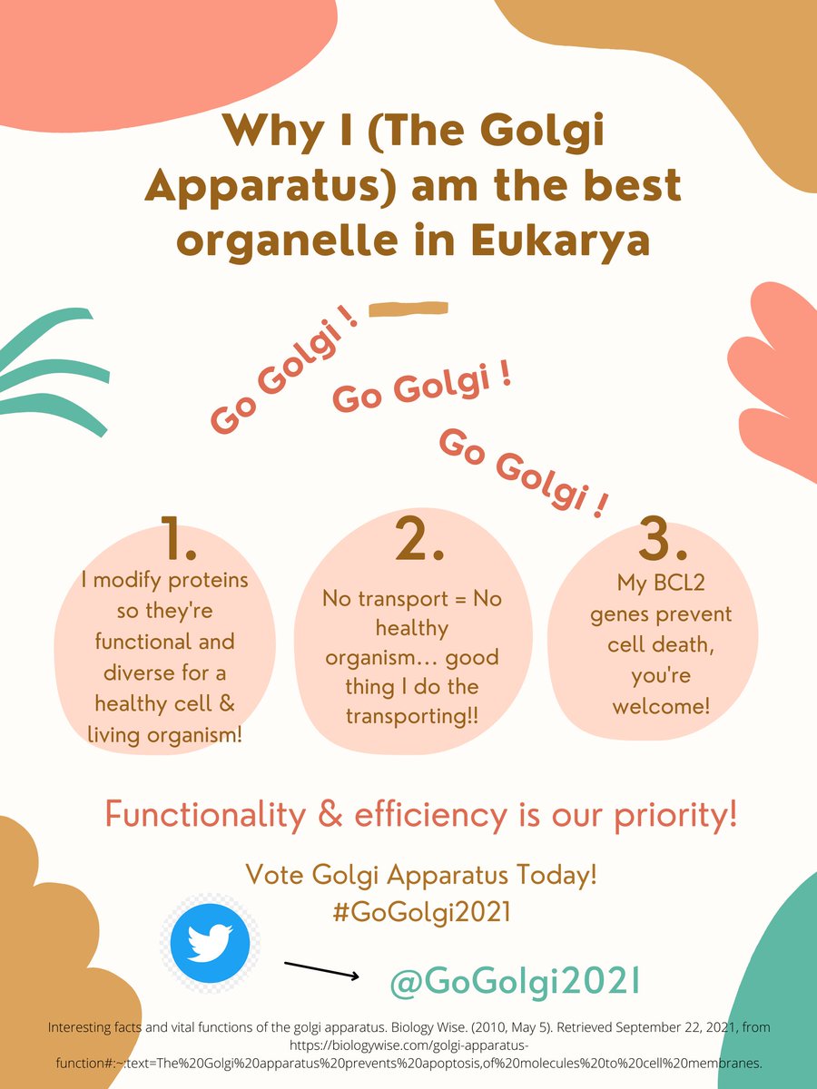 GoGolgi2021's tweet photo. @murphyapbio Just in case you didn't have enough reasons to vote for me, here are a few more <3 #GoGolgi2021 #votevotevote #antiapoptosis https://t.co/cfWn9QcHjh