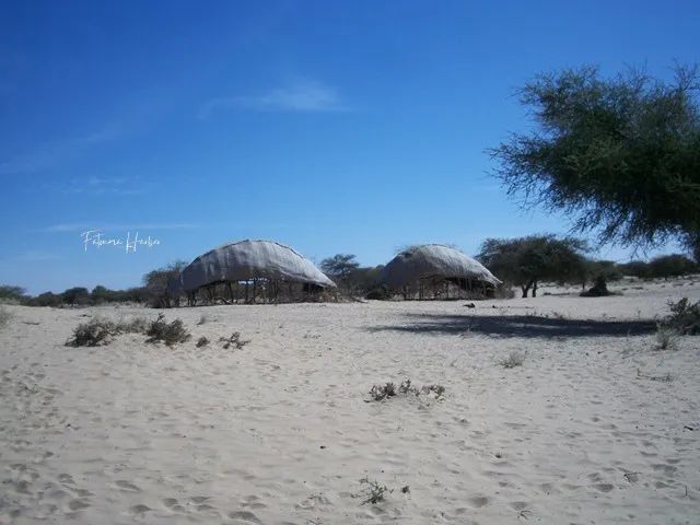 Fatittystar's tweet photo. Bonne nuit !
En espérant que notre pays existera dans 60 autres années
#MaliPuissanci #AngaMaliBa #MaliForEver #VertJauneRouge
#22septembre #Desert #Sahara #TimbuktuMyLove https://t.co/JGzaO6DVtH