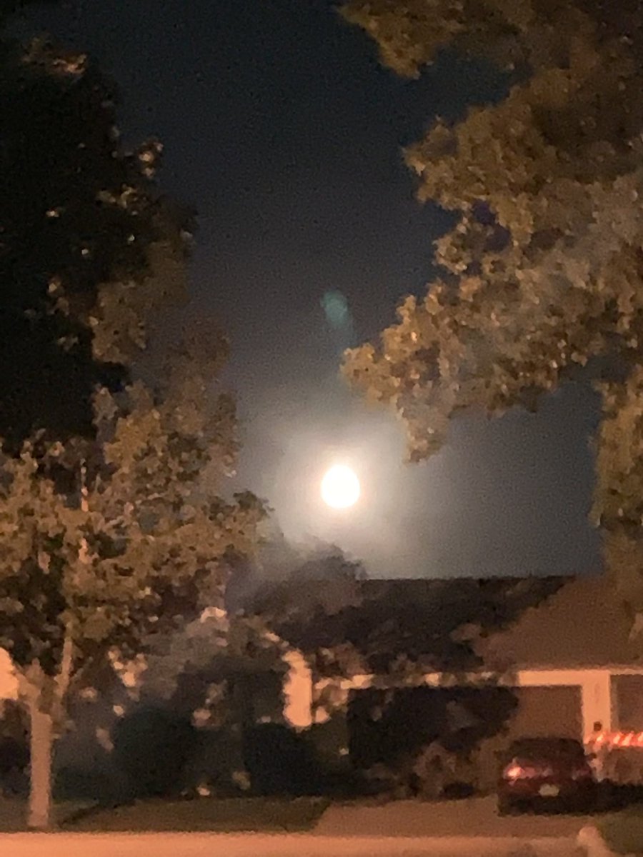 Betsy Luke tweet media