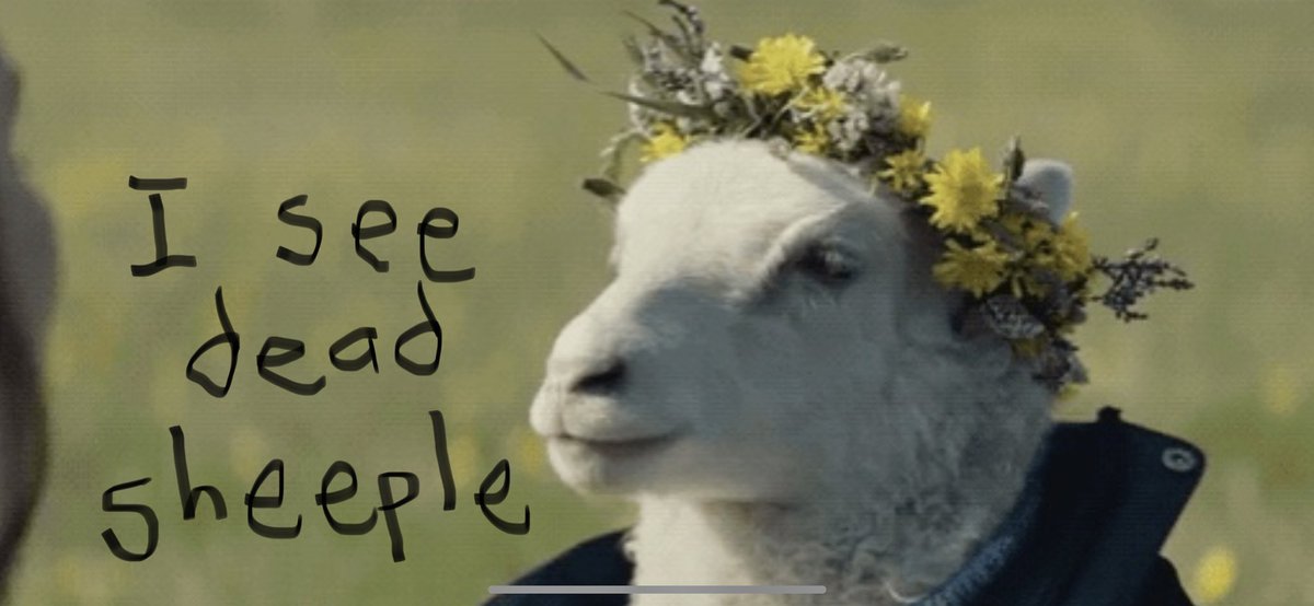 Aaron Nemo tweet media