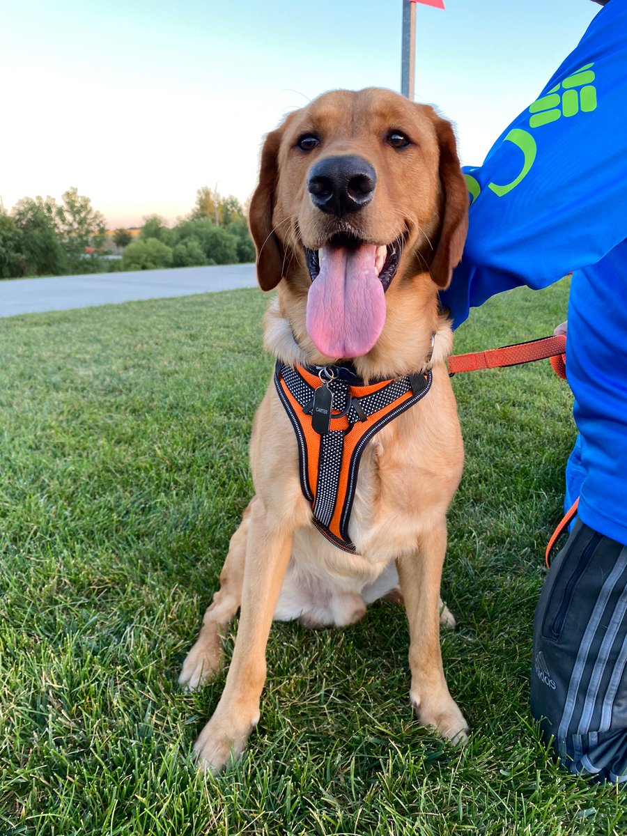 OMAStormChasers's tweet photo. Tongues out for the final Bark in the Park of the season 🐶

#ChasersFamily https://t.co/fq8HjAJfla