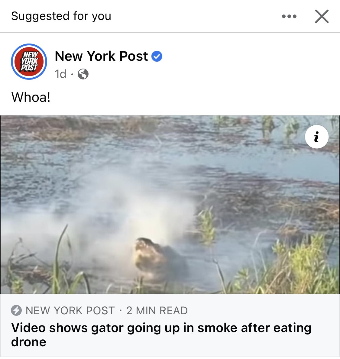 mclairesmith_'s tweet photo. ok New York Post, you have my full undivided attention with this one https://t.co/NLcDqDsNqs