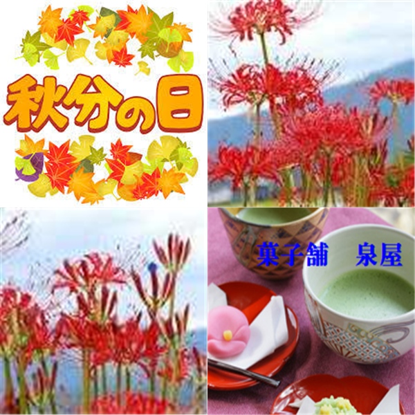 菓子舗 泉屋 かしほ いずみや ノﾟdﾟ おはようございます 今日もよろしくでーーす うーん 極悪コンビに 勝つ自信は W ｳｩｩ でも 正義は負けません ではでわ