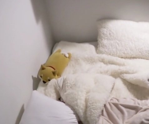 anon08500's tweet photo. (left)Seulgi's plushie in her old bed at her dorm with Rv ///// (right)Kai's plushie in his bed
#seulkai #kaiseul https://t.co/4ojwRRN3dw