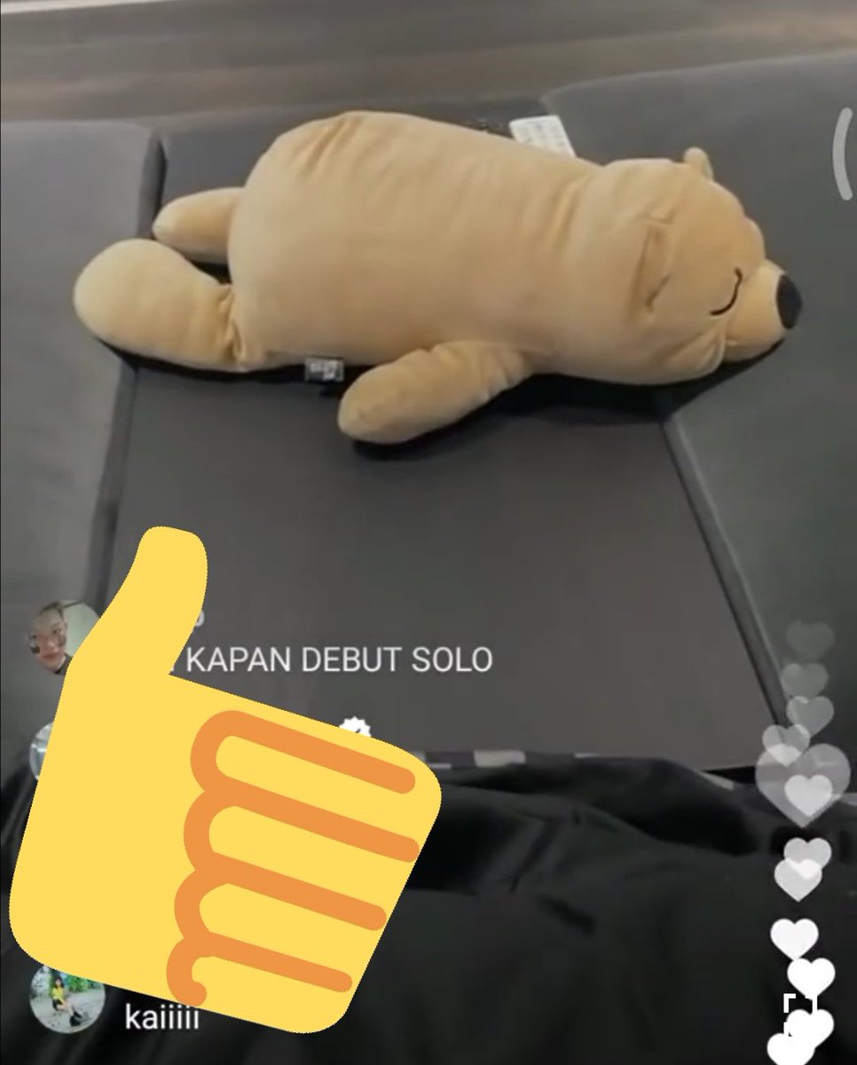 anon08500's tweet photo. (left)Seulgi's plushie in her old bed at her dorm with Rv ///// (right)Kai's plushie in his bed
#seulkai #kaiseul https://t.co/4ojwRRN3dw