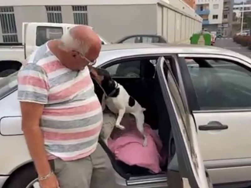 'Sin ellos no me voy': hombre duerme en coche para no dejar a perritos en erupción bit.ly/3u5fhTG
 #VolcanLaPalma