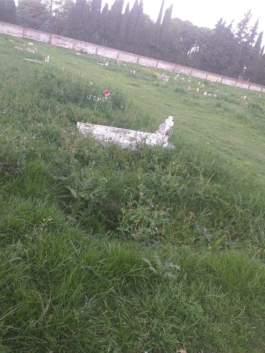 insamel's tweet photo. Hoy fui al cementerio La Piedad y no pude encontar la tumba de mi mama, se que esta en un lugar "gratis", pero la falta total de respeto es total, no me dejan cortar a mi el pasto, pero nadie lo hace @MuniRosario @luisnovaresio @analiabocassi @12asaltos https://t.co/zlrRQMZTrK