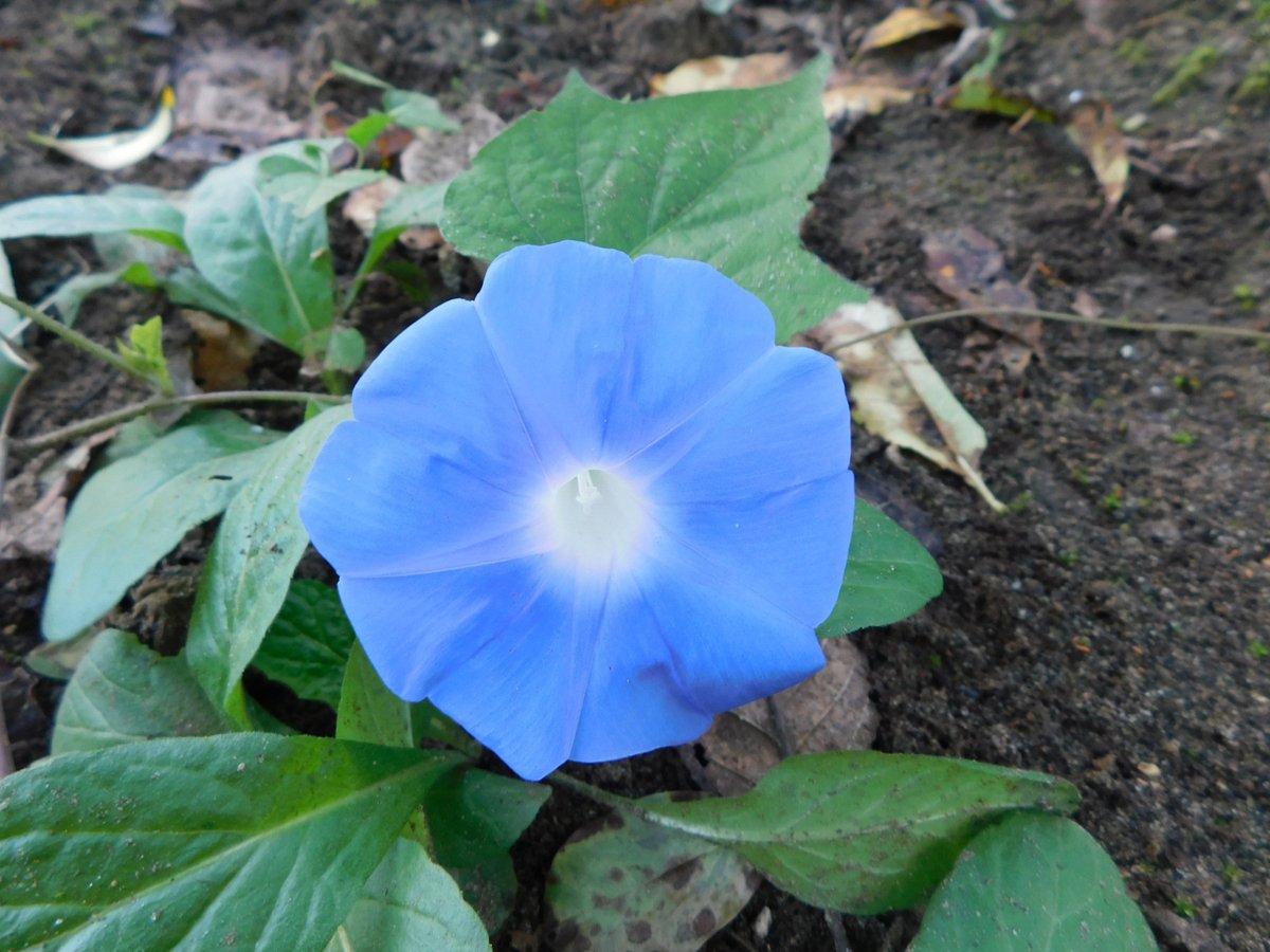 Sudo Hiromi Sudo9363 Twitter