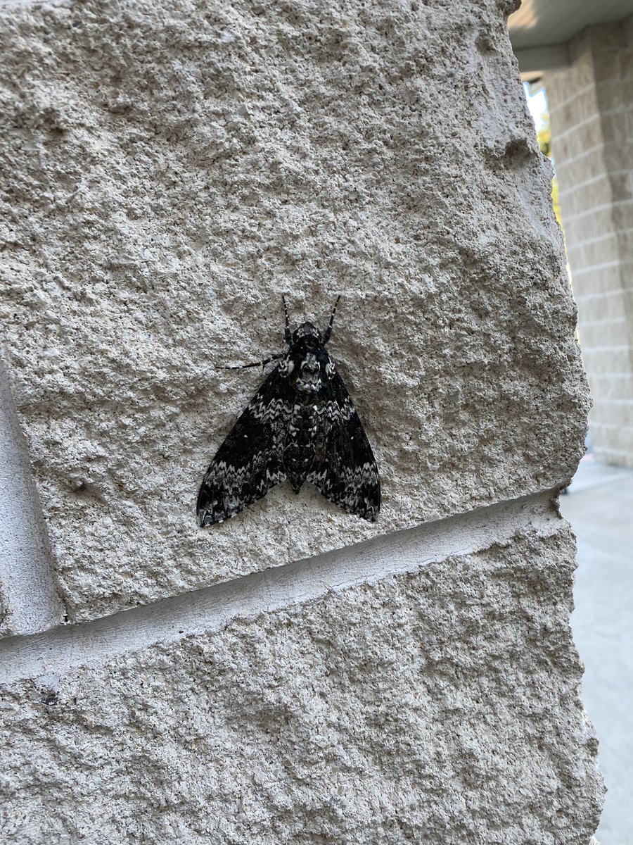 M. Kenter tweet media