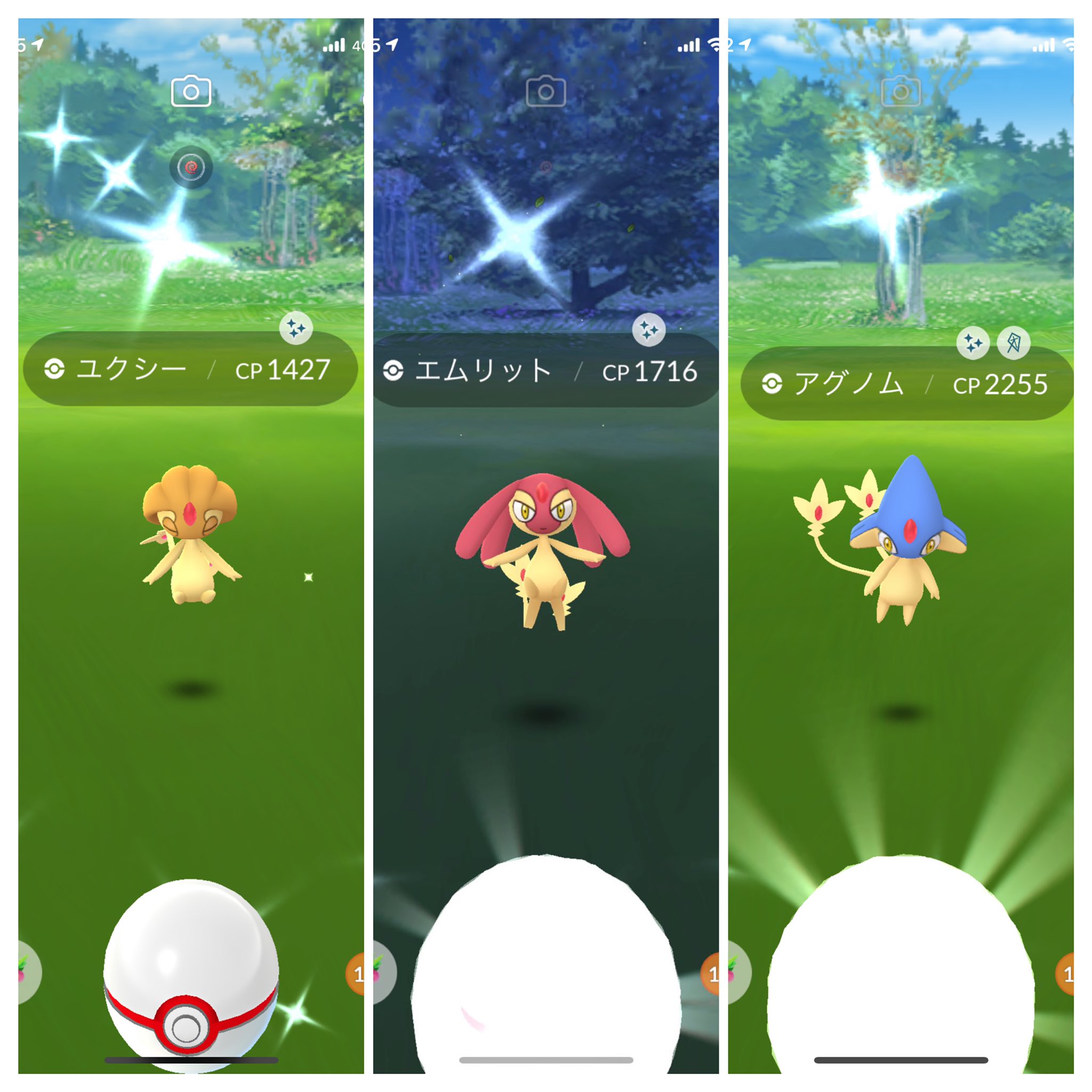 ペロロ Peroro0222 Twitter