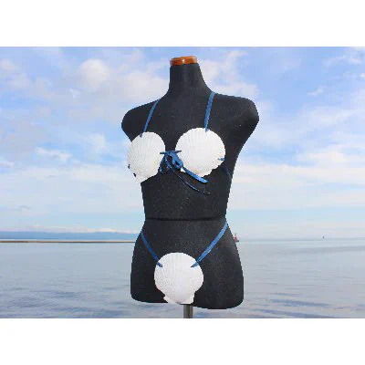 青森県むつ市のふるさと納税返礼品に？ホタテの水着が登録されるwww