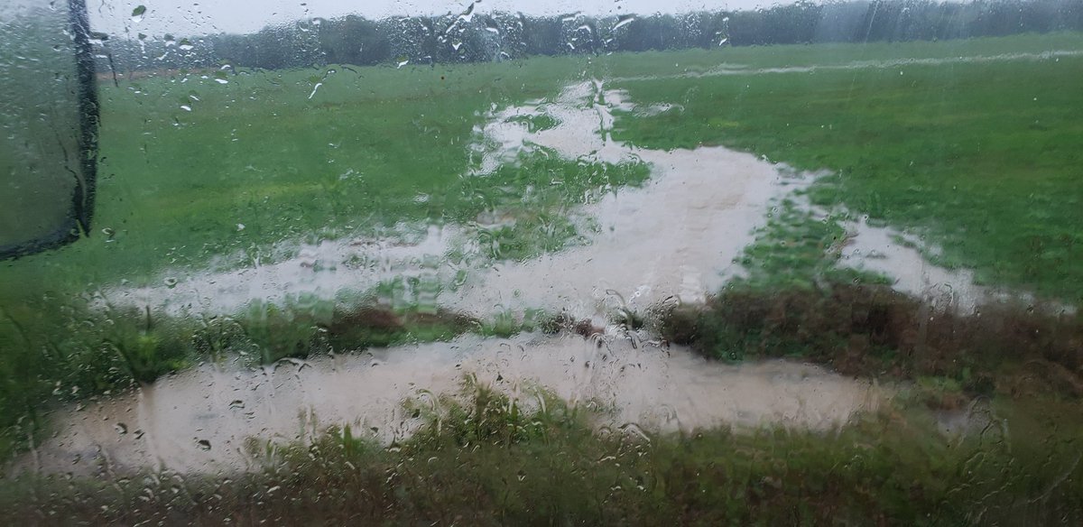 5"+ and counting so far, cover crops holding the dirt in place, bean  harvest and wheat planting on hold for awhile.