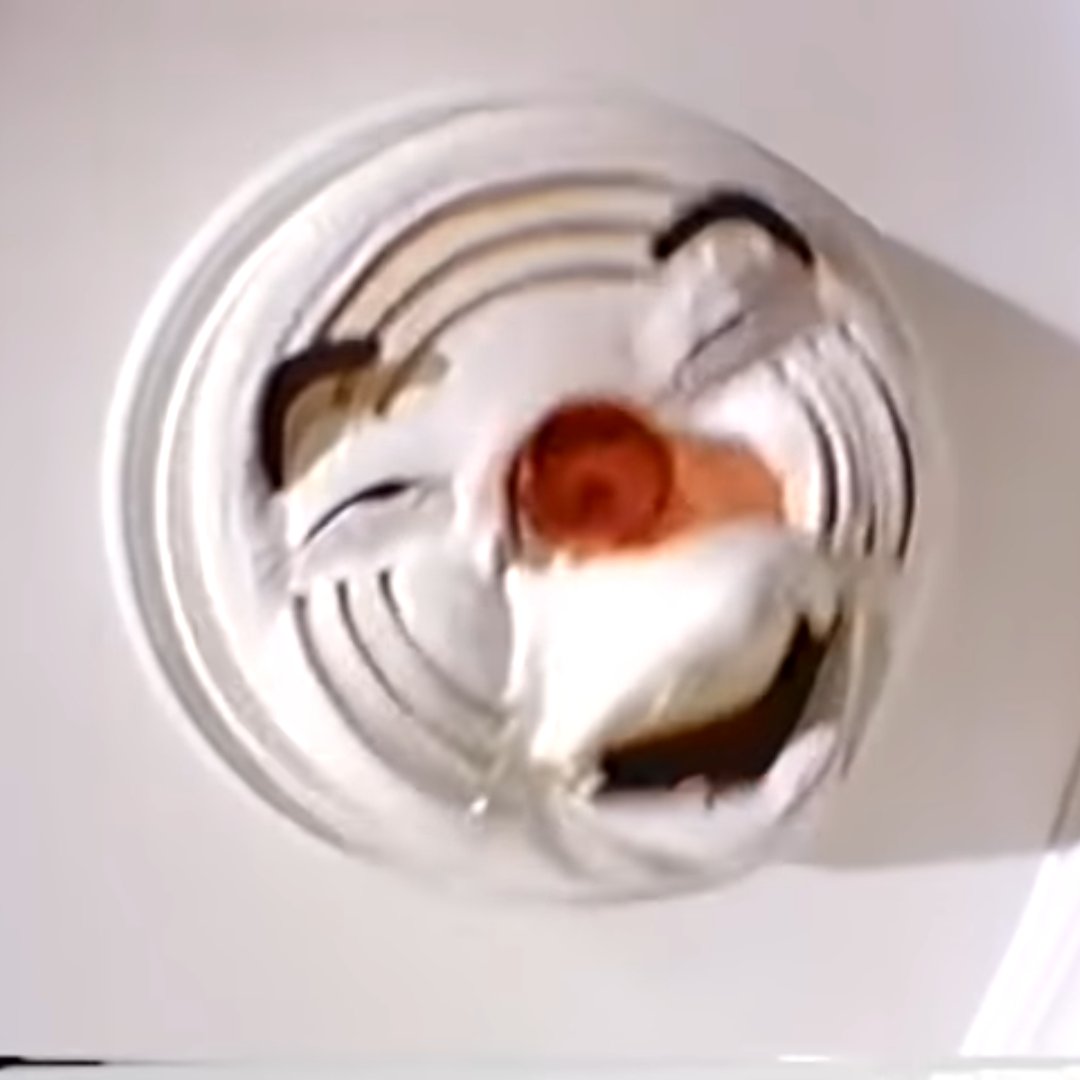 Tonight, my girlfriend is learning about Nobunaga with a documentary.

Meanwhile I'm losing my shit watching all the different edits of Gottfried as a Smoke alarm.

Yep I'm in my 30s allright