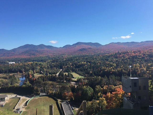 Landscape of fall foliage
