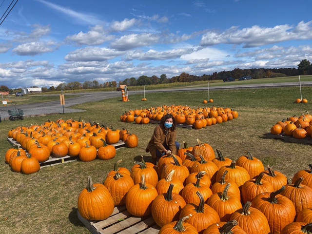 Governor Hochul sits masked at a pumpkin patch