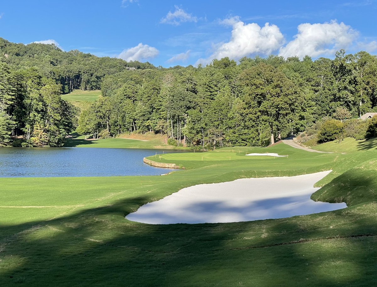 Bill Bergin, ASGCA tweet media