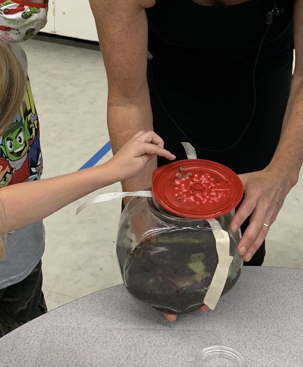 Who knew pet snails could be so much fun! Student question: “Do snail shells grow?” Grade 1/2 will find out!