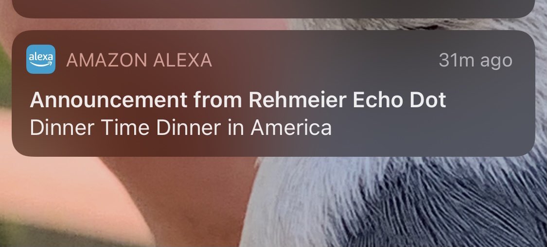 sarah rehmeier tweet media