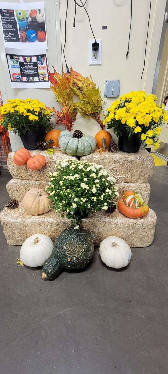 Sarah KeatingSeamans tweet media