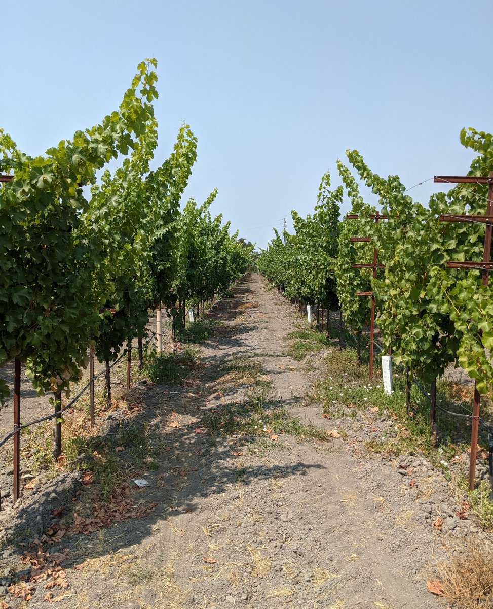 drinkammunition's tweet photo. Home sweet 🍷 home. There's no place like Sonoma. #ammunitionwine #ammunitionwhiskey #drinkammunition 

https://t.co/vvDkGloNHA https://t.co/pSb2CLAcjV