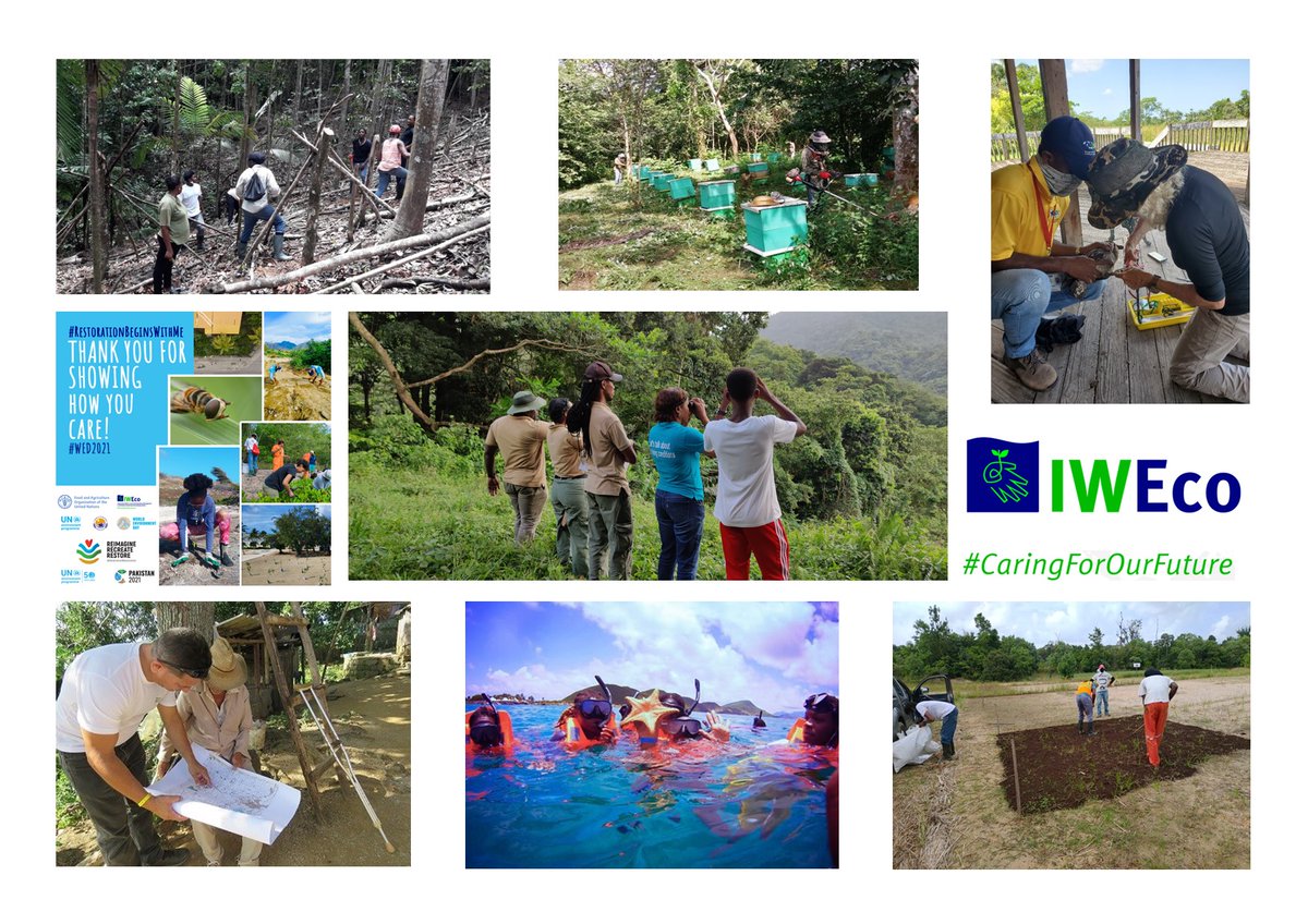 IWEco Project tweet media