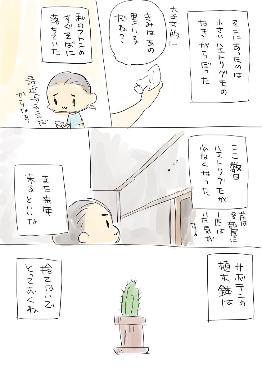 今年のハエトリグモの観察はおしまいかな https://t.co/LnQTwnI7om 