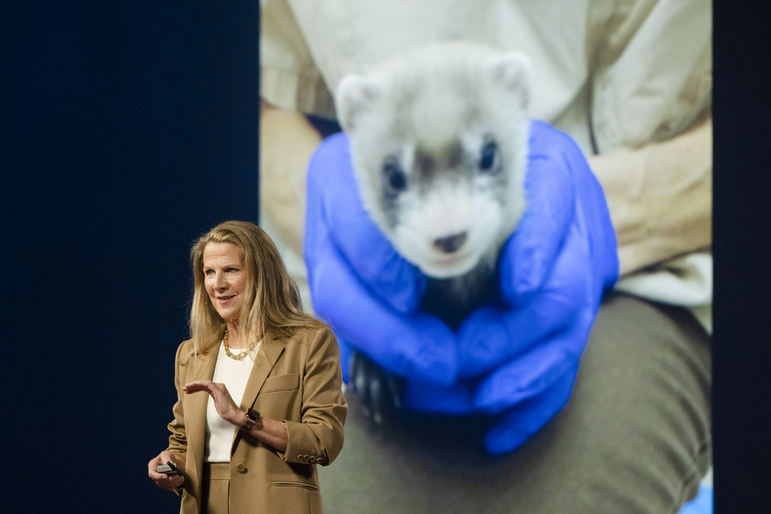 Ryan Phelan tweet media