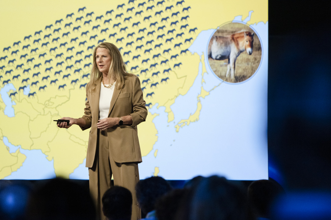 Ryan Phelan tweet media