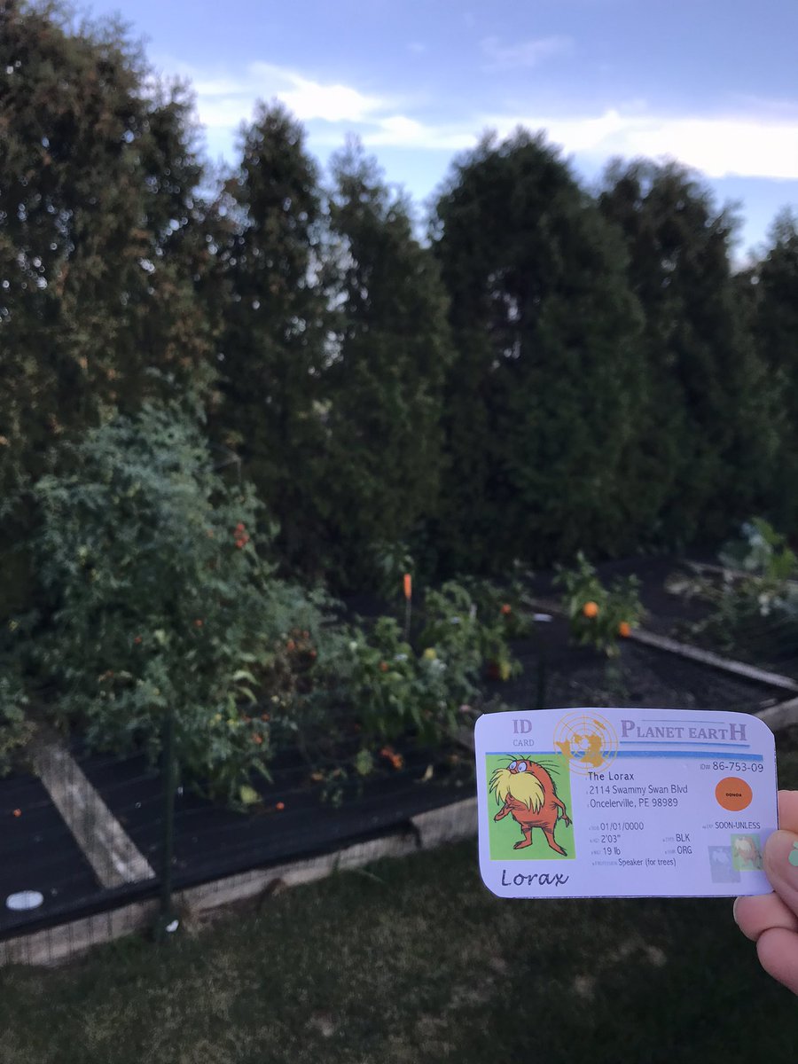 Gardening at home provides me with fresh vegetables being a great example of the ecosystem service, provisioning! This activity fulfills me and brings lots of contentment and happiness, being a perfect example of a cultural ecosystem service! #apesintro <a href="/franklinlorax/">APES Project Lorax</a>