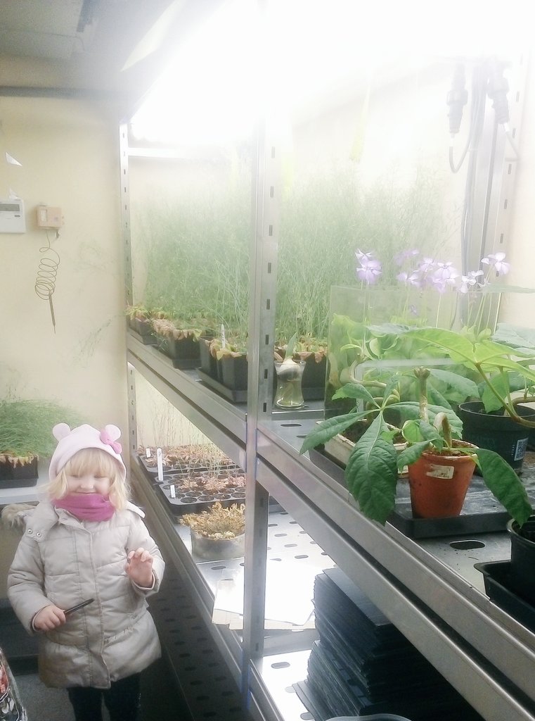 PhotoBioCataly1's tweet photo. The groups PhotoBioCat and Nutri at CPBL, ULB old campus, a surprise in the Arabidopsis phytotrone...#YoungScientist #diversifyscience https://t.co/hs7emEqlCM