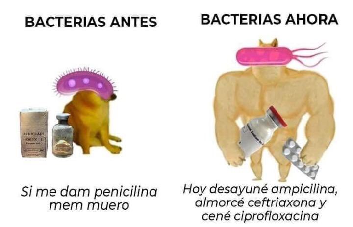 igemiteso's tweet photo. Sabías que la #ResistenciaBacteriana a los antibióticos se produce cuando las bacterias mutan en respuesta al uso excesivo de estos fármacos https://t.co/0TQJKaVETh