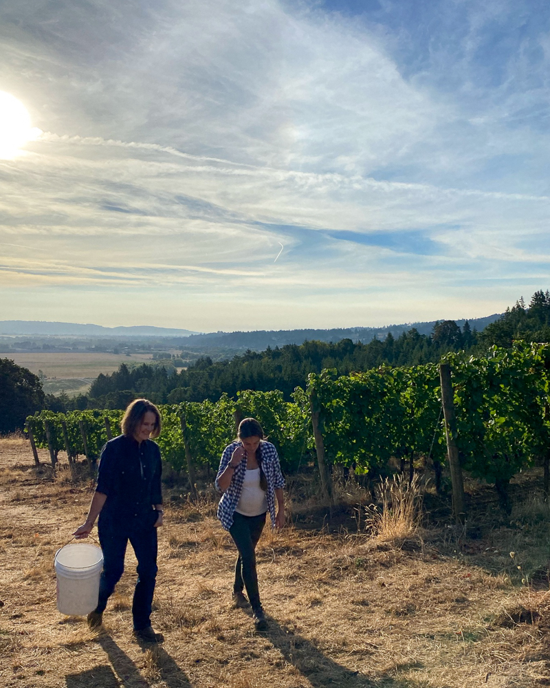 PennerAsh's tweet photo. Our Winemaker, Kate Ayres, and Founding Winemaker, Lynn Penner-Ash are a #KickAsh harvest duo! 🍇 At Penner-Ash we source from premier vineyards across the Willamette sub-AVAs, grounded in decades-long relationships with grower neighbors and friends. #wvwines #harvest2021 https://t.co/58l8TOsPHD