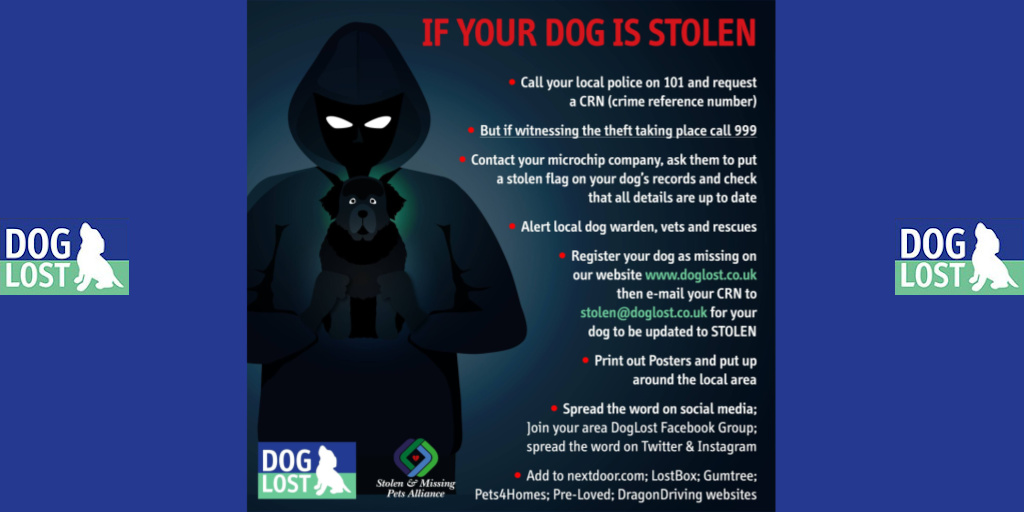 DogLostUK's tweet image. BE AWARE * READ &amp;amp; SHARE * RAISE AWARENESS

‼️ Steps to Take if Your #Dog is #Stolen

#DogsOfTwitter #Pets #STOLEN #DOGS #StolenDog #PetTheft #DogLostUK
