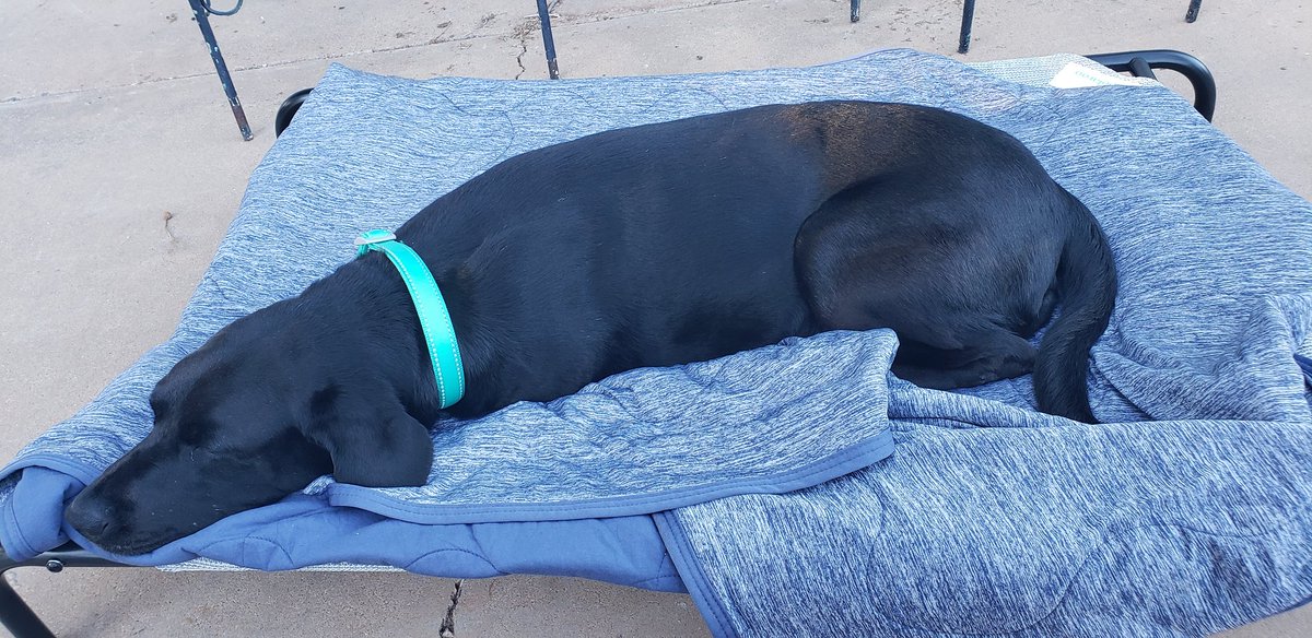 SunnyDaeTales's tweet image. Thanks @Coolaroo for making me comforta(yawnnnnn) zzzzzzz